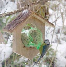 Apple House Feeder with Platform (Oak)